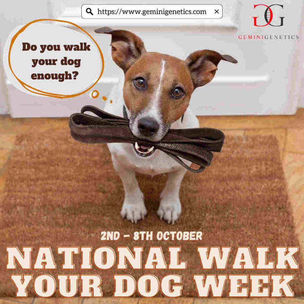 National Walk Your Dog Week! Gemini