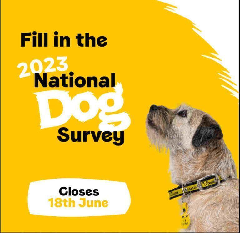 2023 National Dog Survey Dogs Trust Gemini