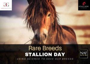 Rare Breed Stallion Day Gemini Genetics